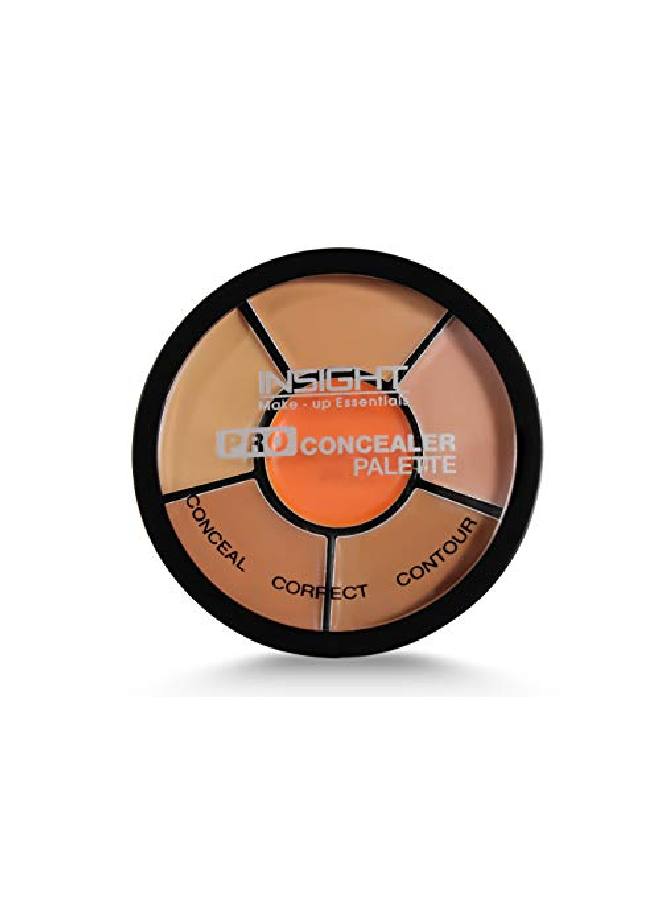Insight Cosmetics Pro Concealer Palette (Concealer) - Image 2
