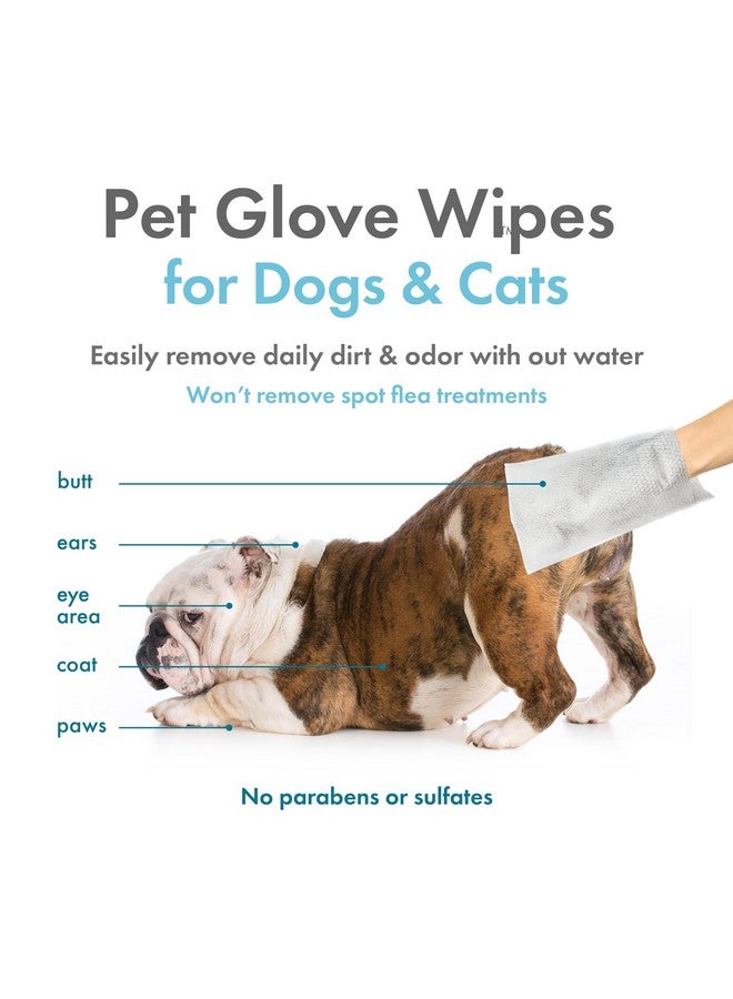 بيتكين مناديل بيتكين للحيوانات الأليفة للكلاب والقطط، 30 منديلًا - مناديل تنظيف مزدوجة الجوانب - تنظف بلطف الأذنين والوجه والأرداف والجسم ومنطقة العين - مريحة ومثالية للمنزل أو السفر - برائحة الفانيليا - Image 3
