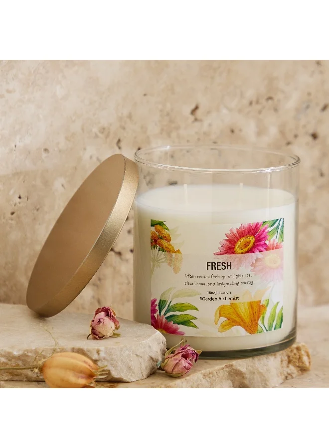 Home Box Aure Fragrance Jar Candle with Metal Lid - 510 g