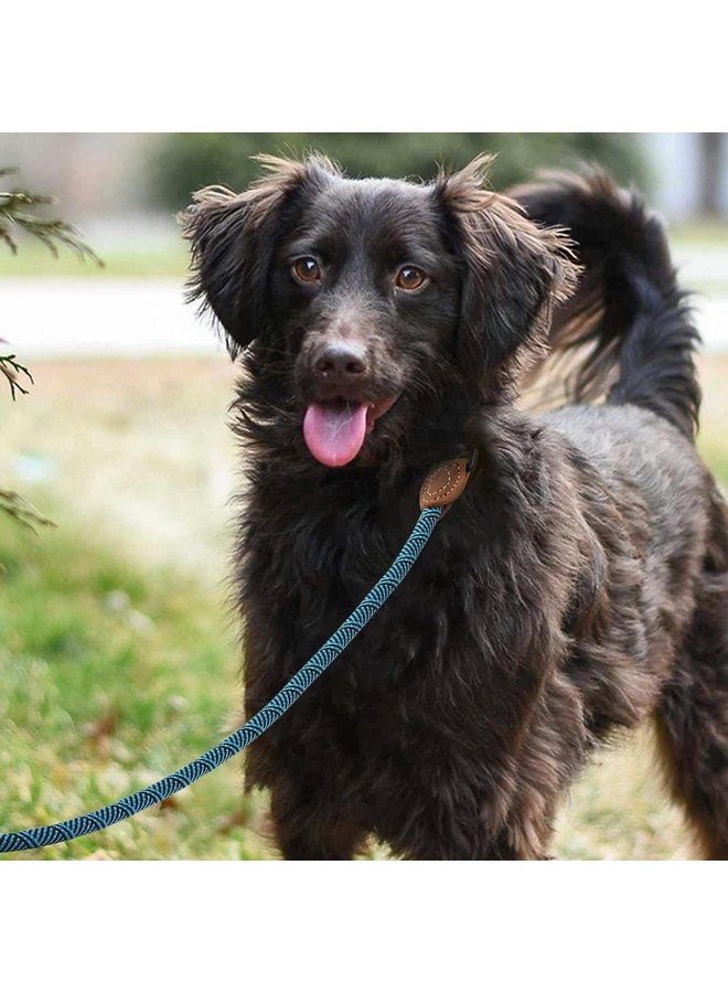 مايل هاي لايف Mile High Life | حبل لتسلق الجبال للكلاب مع مشبك معدني قوي ومتين | اتصال مخصص من الجلد الأصلي بغرز قوية (أخضر فيروزي، 48 بوصة (عبوة من قطعة واحدة)) - Image 2