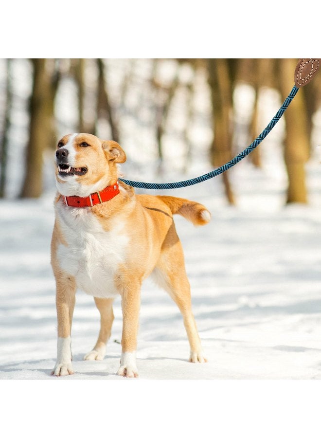 مايل هاي لايف Mile High Life | حبل لتسلق الجبال للكلاب مع مشبك معدني قوي ومتين | اتصال مخصص من الجلد الأصلي بغرز قوية (أخضر فيروزي، 48 بوصة (عبوة من قطعة واحدة)) - Image 3