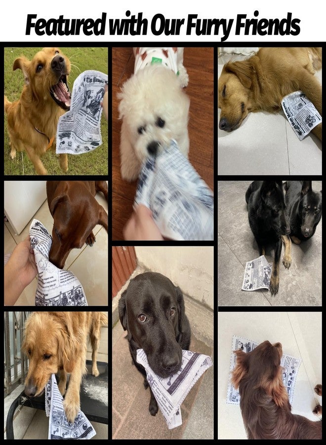 Dosanlues Interactive Dog Toys for Boredom - Newspaper Squeaker Toys - 4PCS Newspaper Dog Toy for Puppy Small Medium Furry Friends - Image 2