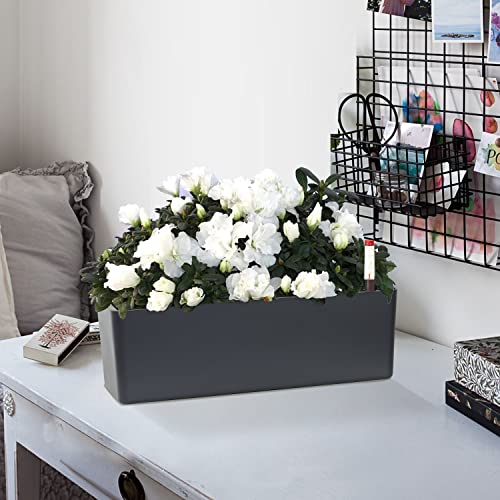 GardenBasix Elongated Self Watering Planter Pots Window Box 5.5 x 16 inch Indoor Home Garden Modern Decorative Planter Pot for All House Plants Flowers Herbs (Dark Grey,1-Pack) - Image 4
