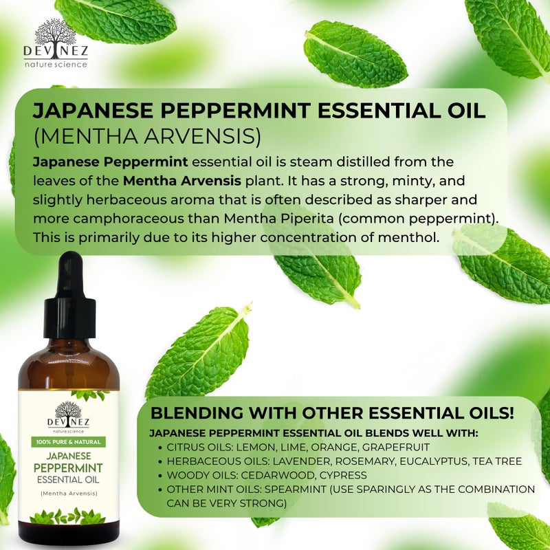 Devinez زيت النعناع الياباني من ديفينز (Mentha arvensis) مع قطارة مميزة - درجة علاجية، 100% نقي، زيت طبيعي غير مخفف للعلاج بالروائح، الناشرات، المرطبات والعناية بالبشرة وفروة الرأس (118 مل) - Image 2