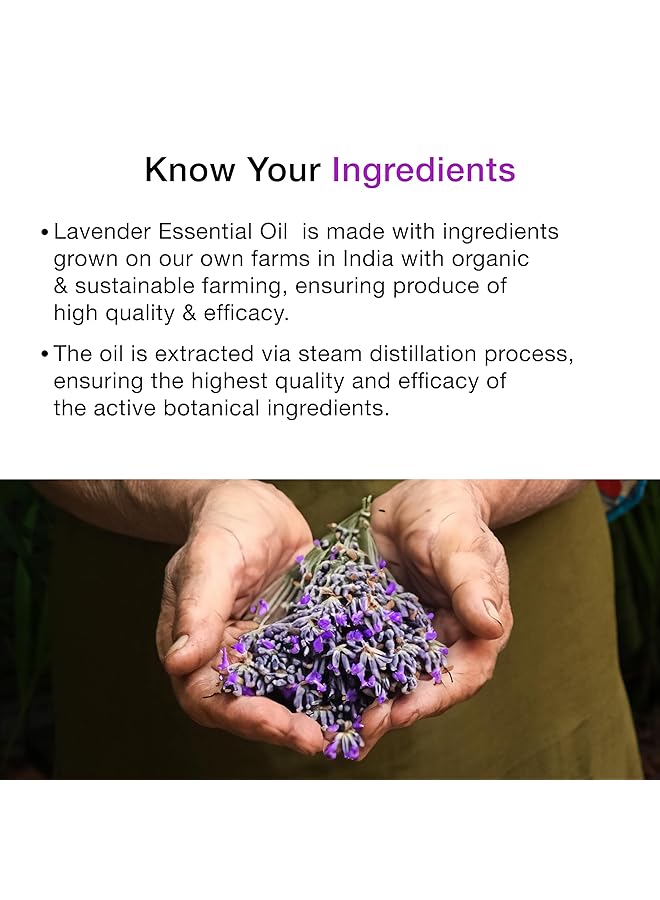 erorex Lavender Essential Oil For Hair Nourishment Healthy Skin And Face Aromatherapy Home Diffuser 100 Percent Pure And Natural Undiluted Oil Ecocert Cosmos Organic Certified 1 Fl Oz - Image 5
