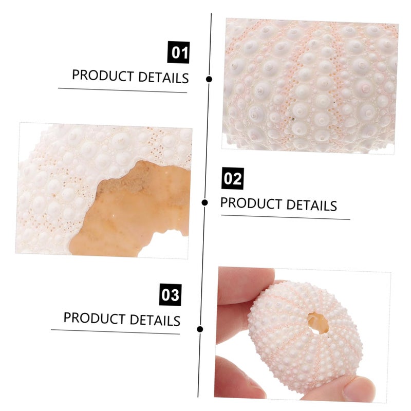 Natural Coral Conch Seashell Display Props For Nail Decoration Photography Party Decor - Image 4