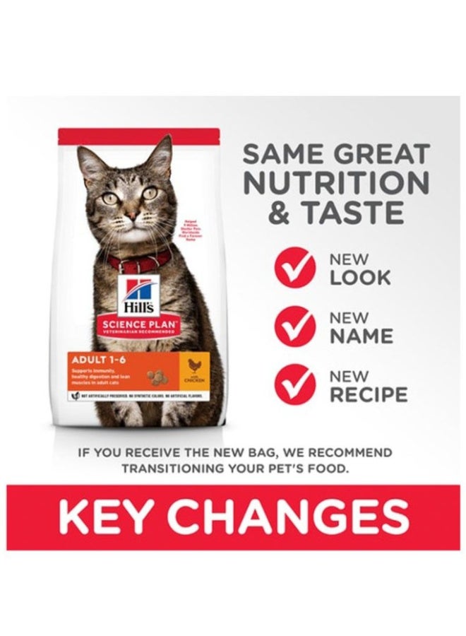 Hills Adult Dry Cat Food – Chicken Recipe for Adult Cats (1–6 Years) – Healthy Digestion & Lean Muscles – 10kg - Image 4