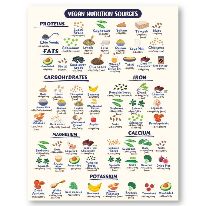 VEGAN HEALTH FOODS CHART FRIDGE MAGNET NUTRITIONAL GUIDE FOR KETO HIGH PROTEIN VEGAN VEGETARIAN DIETS DECORATIVE FOOD MAGNET CHEAT SHEET DURABLE WATERPROOF 85 X 11 SIZE