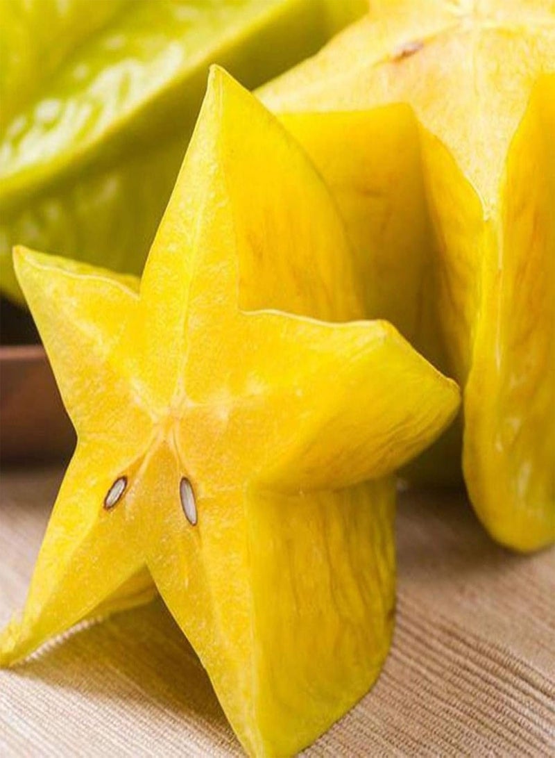 GGOOT 50Pcs Thai Star Fruit Seeds Juicy Carambola Exotic Tree Seed High Germination - Image 4