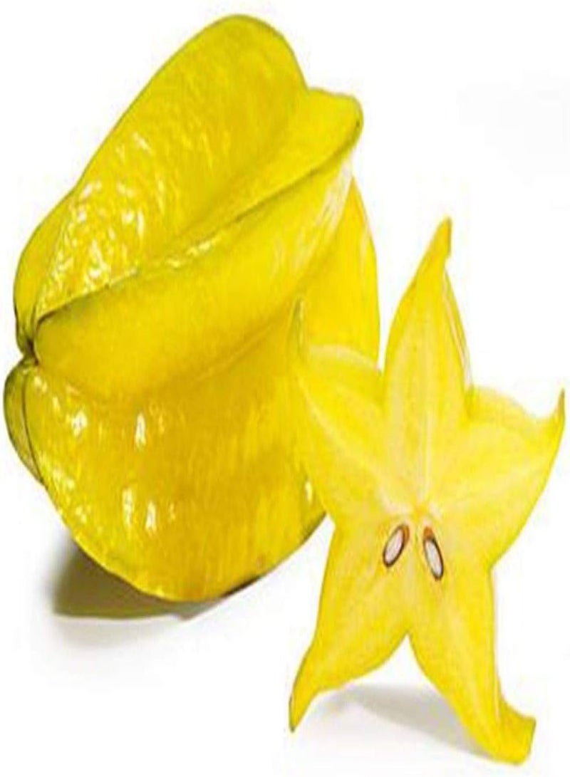 GGOOT 50Pcs Thai Star Fruit Seeds Juicy Carambola Exotic Tree Seed High Germination - Image 5