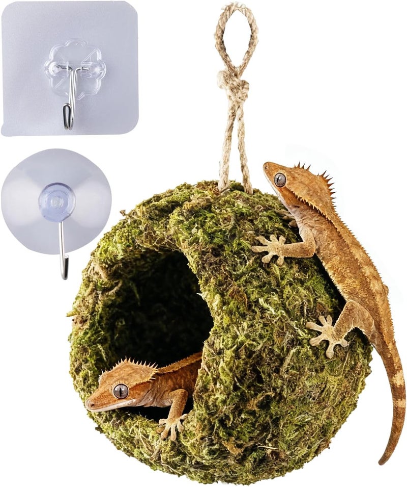 ORBIDYN Handmade Crested Gecko Tank Accessories – Bearded Dragon Accessories, Reptile Hideout, Hermit Crab and Small Reptile Habitat 4.7×3.5×9in - Image 1