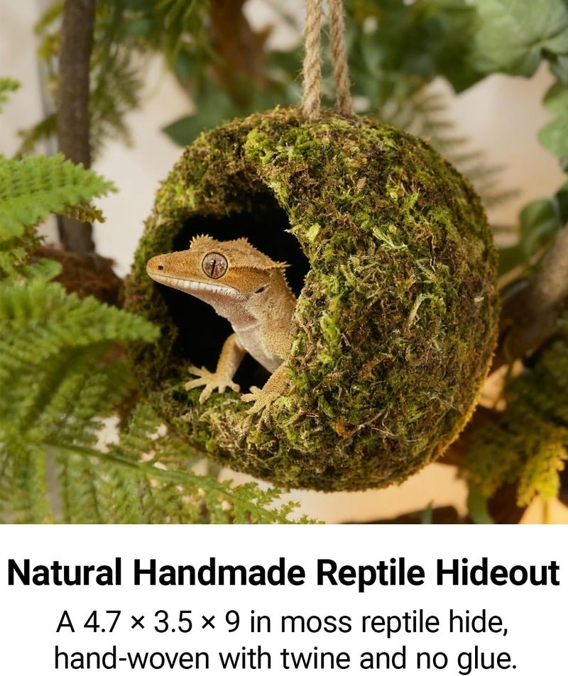 ORBIDYN Handmade Crested Gecko Tank Accessories – Bearded Dragon Accessories, Reptile Hideout, Hermit Crab and Small Reptile Habitat 4.7×3.5×9in - Image 2