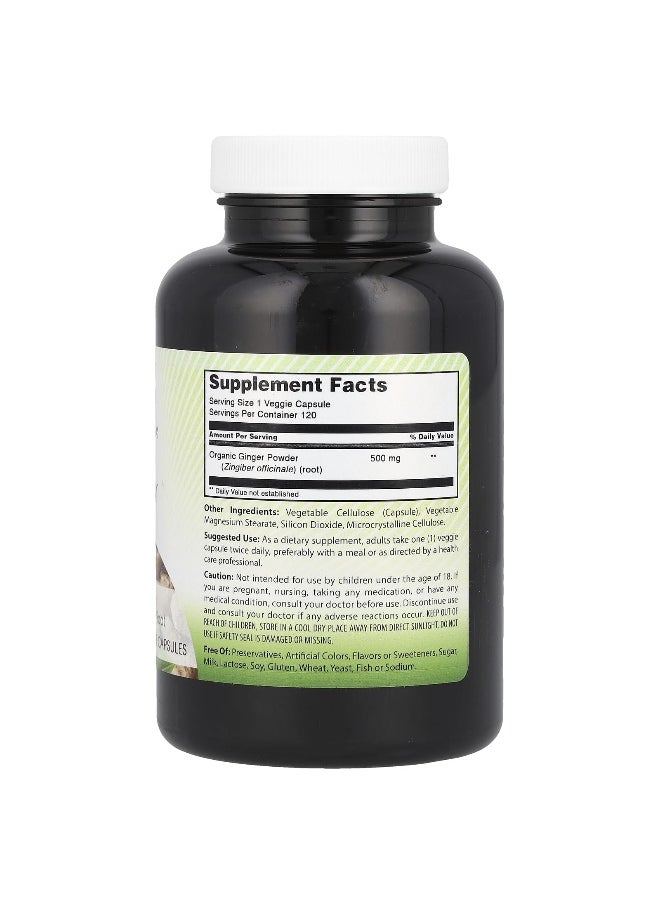 Amazing India Amazing India, Ginger , 500 mg , 120 Veggie Capsules  - Image 2