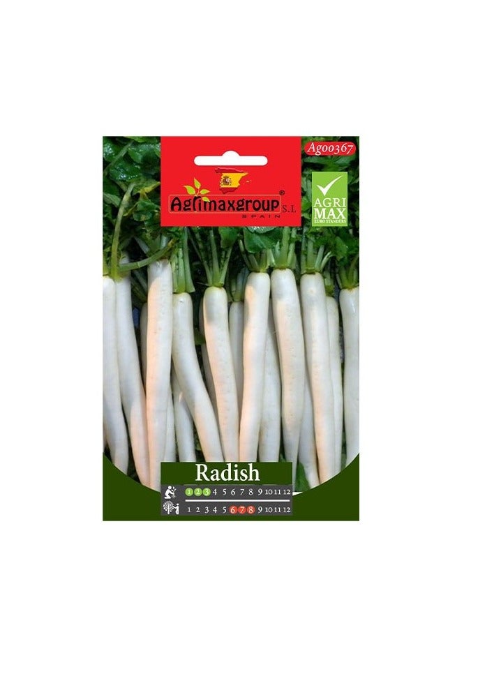KNP White Radish Seeds 