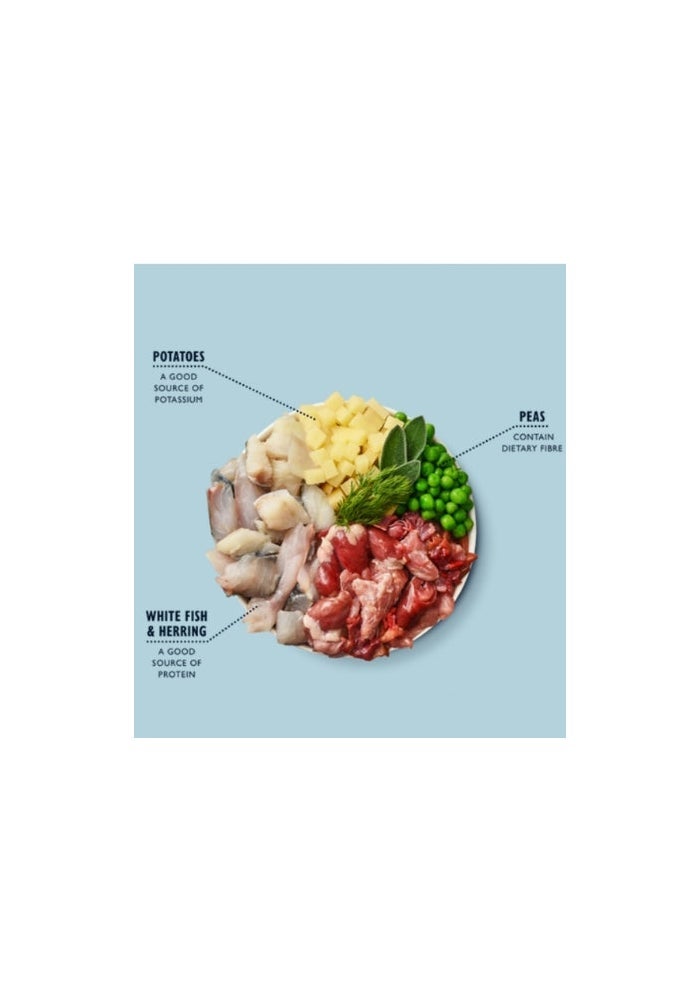 Lily's Kitchen Fish & Chips Wet Dog Food - 400G - Image 2