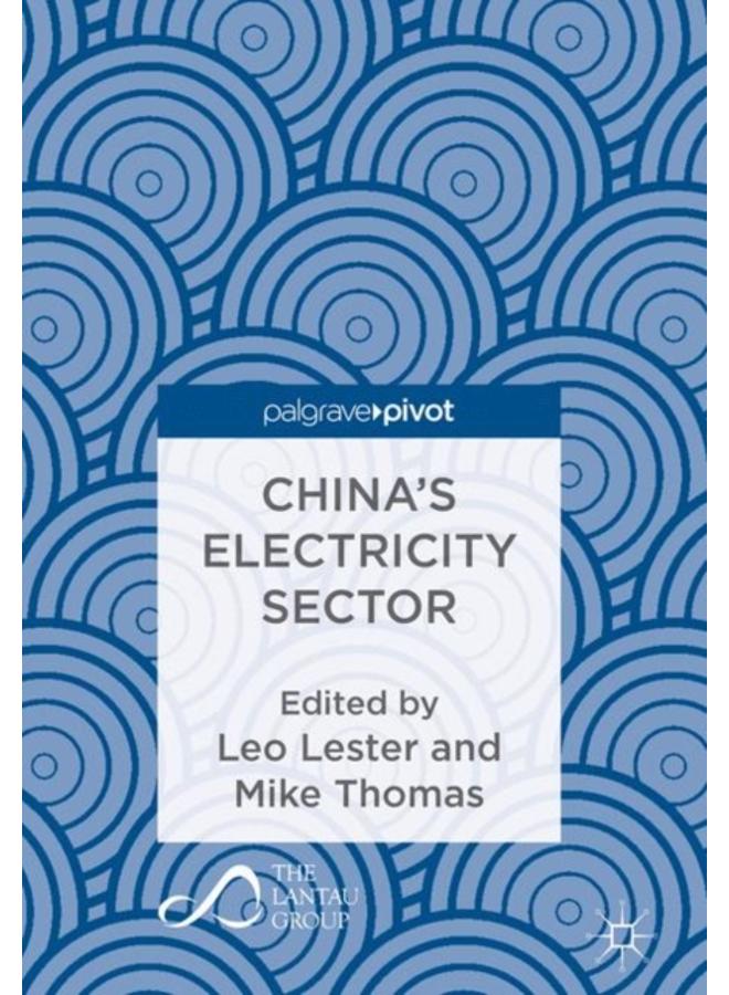 China???s Electricity Sector 