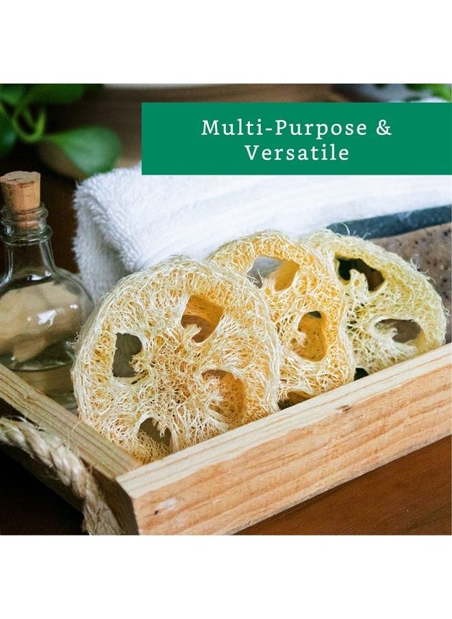 LooLife 100% Natural Loofah Slices for Soap Making (20 Pack) - Luffa Slices Cuts - Loofah Kit - Organic Soap Making Products - Loofah Sponge Natural - Loofah Soap - Hamster Chew Toys  - Image 4