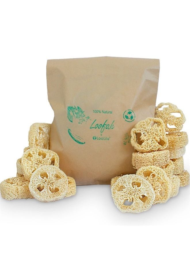 LooLife 100% Natural Loofah Slices for Soap Making (20 Pack) - Luffa Slices Cuts - Loofah Kit - Organic Soap Making Products - Loofah Sponge Natural - Loofah Soap - Hamster Chew Toys  - Image 1