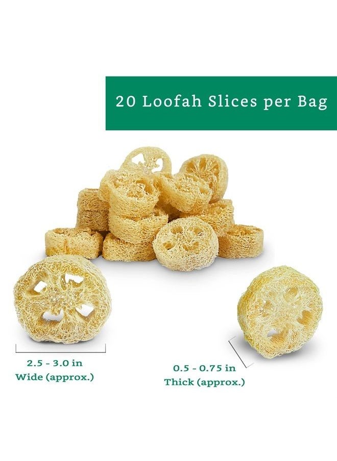 LooLife 100% Natural Loofah Slices for Soap Making (20 Pack) - Luffa Slices Cuts - Loofah Kit - Organic Soap Making Products - Loofah Sponge Natural - Loofah Soap - Hamster Chew Toys  - Image 2