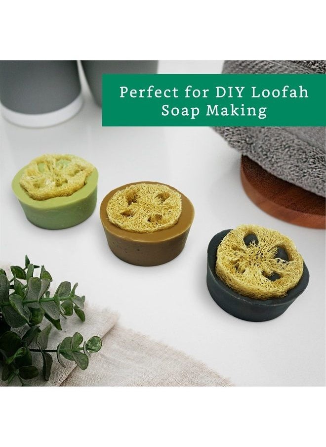 LooLife 100% Natural Loofah Slices for Soap Making (20 Pack) - Luffa Slices Cuts - Loofah Kit - Organic Soap Making Products - Loofah Sponge Natural - Loofah Soap - Hamster Chew Toys  - Image 3