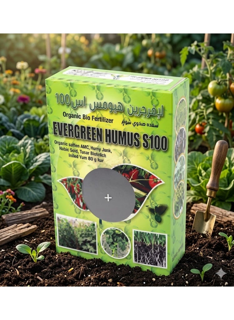 Evergreen Humus S-100 Organic Bio Fertilizer 1Kg - Image 3