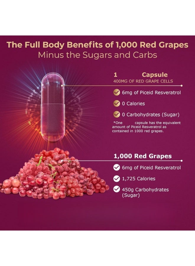 VINIA 12 Hour Long Lasting Energy Piceid Resveratrol Vegan Capsules Support Heart Health and Blood Flow (60 Capsules) - Image 4