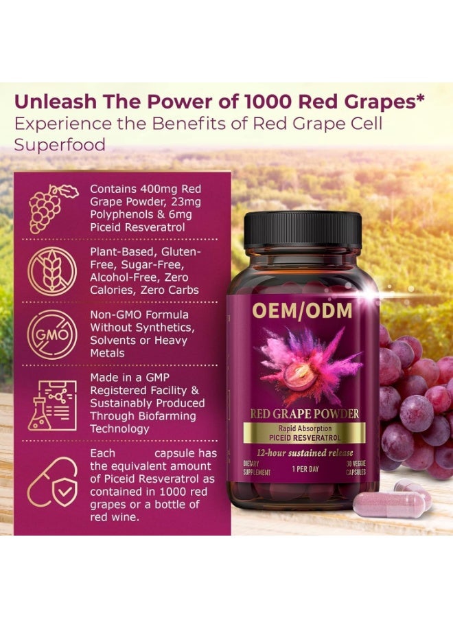 VINIA 12 Hour Long Lasting Energy Piceid Resveratrol Vegan Capsules Support Heart Health and Blood Flow (60 Capsules) - Image 3