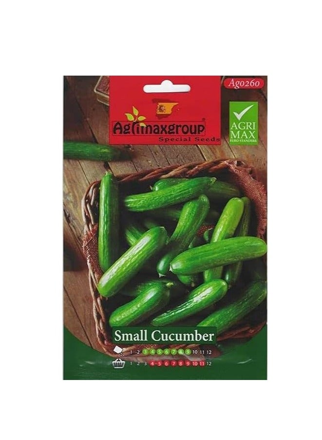 Agrimax Small Cucumber Premium Quality Seeds by Agrimaxgroup® - Image 1