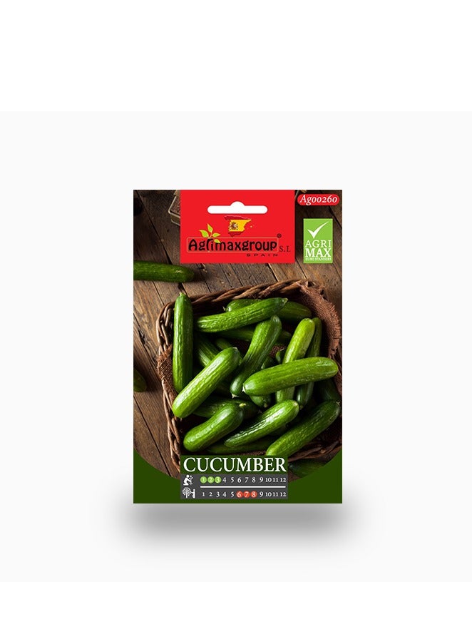 Agrimax Small Cucumber Premium Quality Seeds by Agrimaxgroup® - Image 2