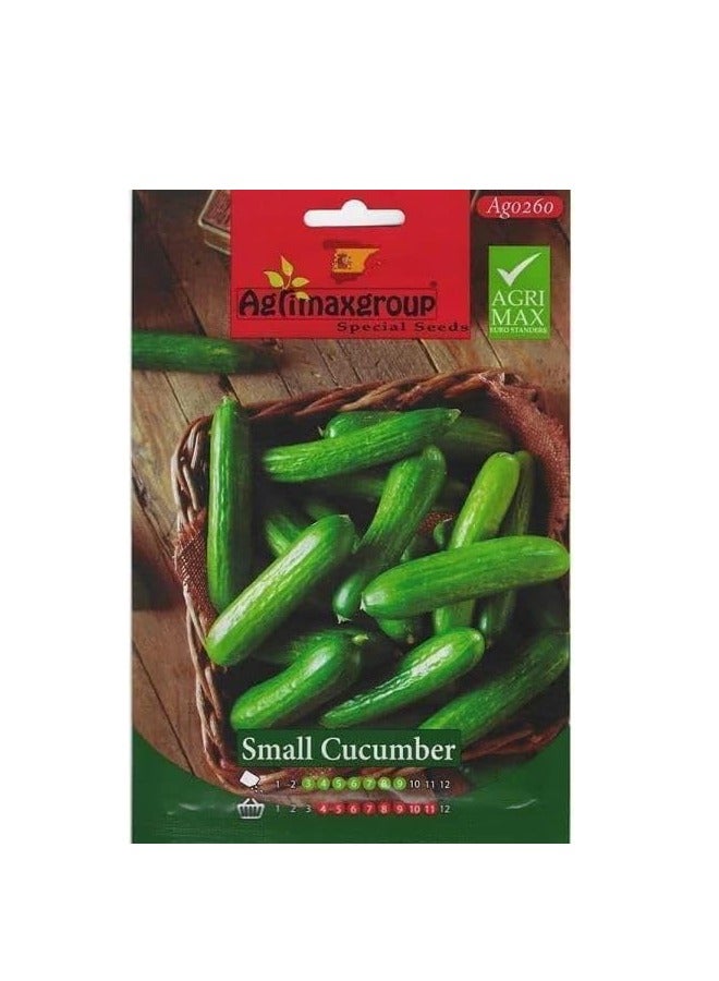 Agrimax Small Cucumber Premium Quality Seeds by Agrimaxgroup® - Image 3