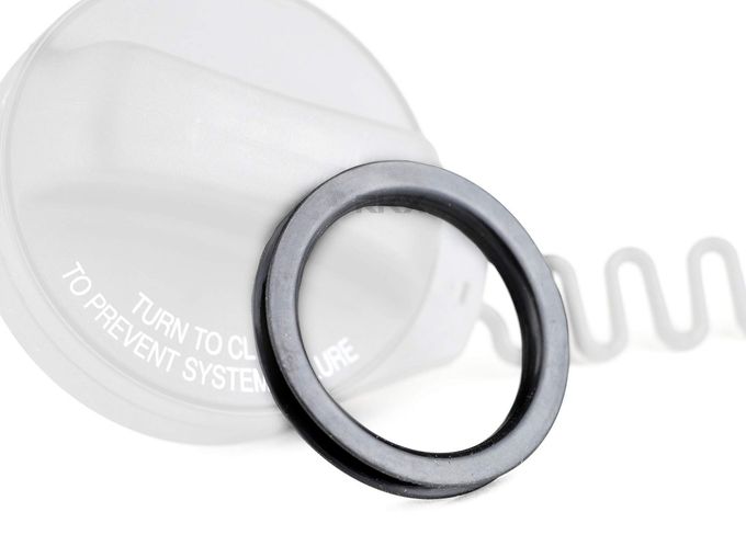 GSS342 255 LPH مضخة وقود كهربائية داخلية عالية الضغط (فضي) - Image 1