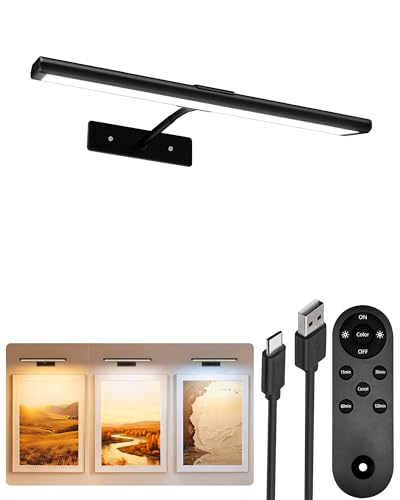 EZVALO Picture Light for Wall 13 Black Rechargeable 4800mAh Battery Lights Wireless with IR Remote Magnetic LED Art Painting Light with 3 Color Temperatures Display for Gallery Living Room - Image 1