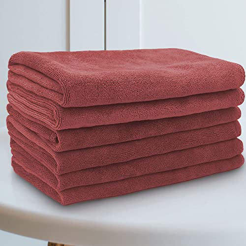 Sassoon Highly Absorbent Microfiber Cleaning Cloth in 450 GSM (6 Pcs, Crimson) 40X40 cms- Thick Lint & Streak-Free Multipurpose Cloths-Automotive Microfiber Towels for Car Bike Cleaning - Image 1