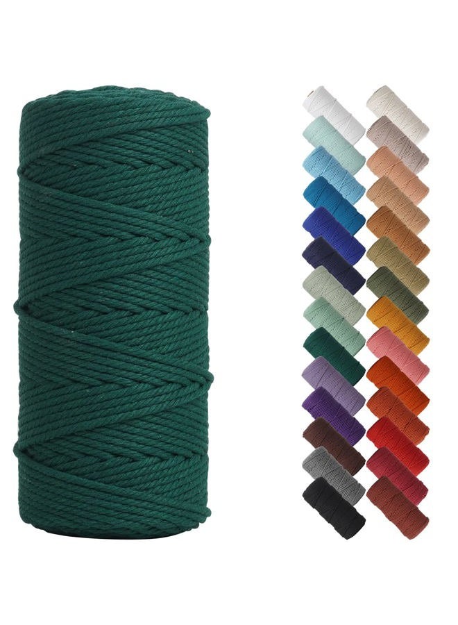NOANTA Dark Green Macrame Cord 3mm x 109yards, Colored Macrame Rope, Cotton Rope Macrame Yarn, Colorful Cotton Craft Cord for Wall Hanging, Plant Hangers, Crafts, Knitting - Image 1