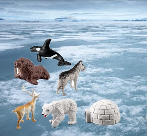 NatureMan Mini Arctic Animals Toys Set 10PCS Polar Animal Figurines Toy PlaysetIncludes Polar Bear Seal Reindeer Wolf Rabbit Arctic Fox Igloo for Toddlers Birthday Gift - Image 5
