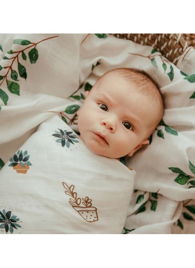 Anvi Baby Anvi Baby  Set of 3 Organic Bamboo Swaddle Green Planet  - Image 5
