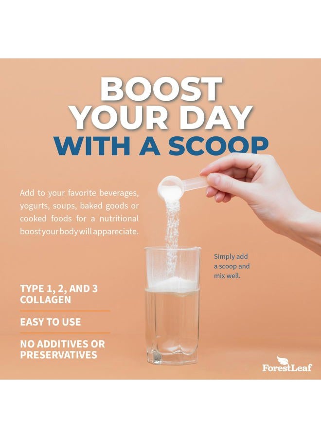 ForestLeaf مسحوق ببتيدات الكولاجين غير المنكه - مسحوق بروتين الكولاجين المعالج من النوع 1 و 2 و 3 - مسحوق كولاجين كيتو من العشب للنساء والرجال - للشعر والبشرة والأظافر والمفاصل والتعافي، 11 جرام لكل حصة - Image 5