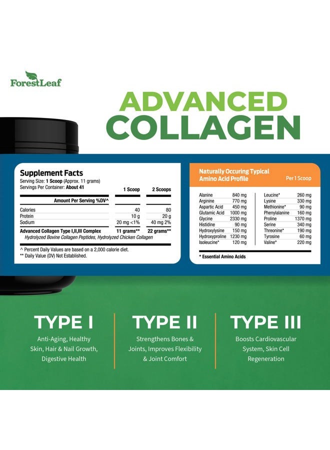 ForestLeaf مسحوق ببتيدات الكولاجين غير المنكه - مسحوق بروتين الكولاجين المعالج من النوع 1 و 2 و 3 - مسحوق كولاجين كيتو من العشب للنساء والرجال - للشعر والبشرة والأظافر والمفاصل والتعافي، 11 جرام لكل حصة - Image 3