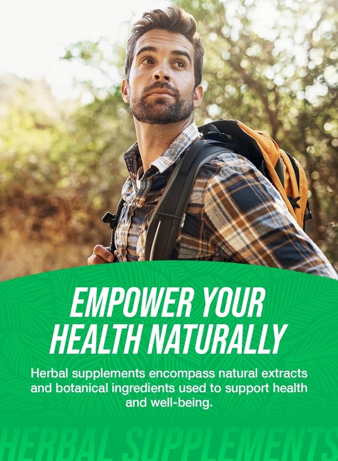 BulkSupplements.com Organic Beet Root Powder - Superfood Supplement, Beet Root Supplements - Vegan & Gluten Free, 3.5g per Serving, 500g (1.1 lbs) (Pack of 1) - Image 3