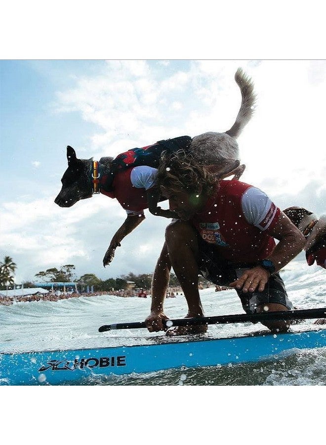 إيزي دوج سترة نجاة للكلاب من Ezydog DFD - سترة أمان للسباحة قابلة للتعديل مع حافة عاكسة ومقبض متين - مادة تعويم أكثر بنسبة 50% - صغيرة، حمراء - Image 4