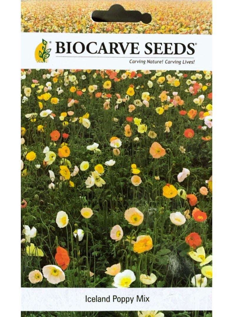 BIOCARVE SEEDS BIOCARVE Icelandic Poppy Mix Seeds