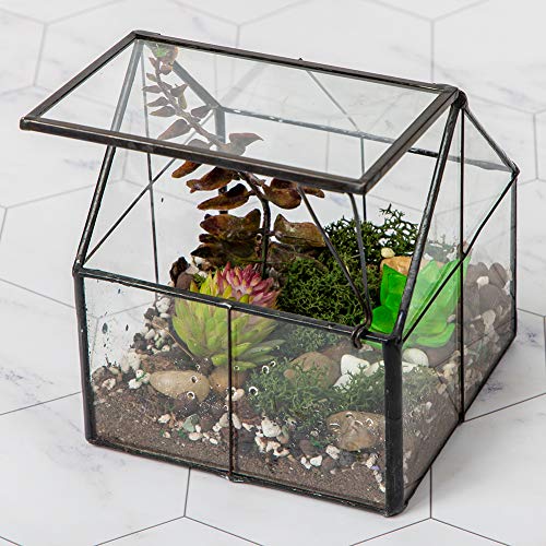 Ferrisland Glass Plant Terrarium Container Wardian Case Indoor Small Succulent Terrarium Planter w/Door for Tabletop Decor DIY - 4.9"x4.3"x4.3" - Image 1