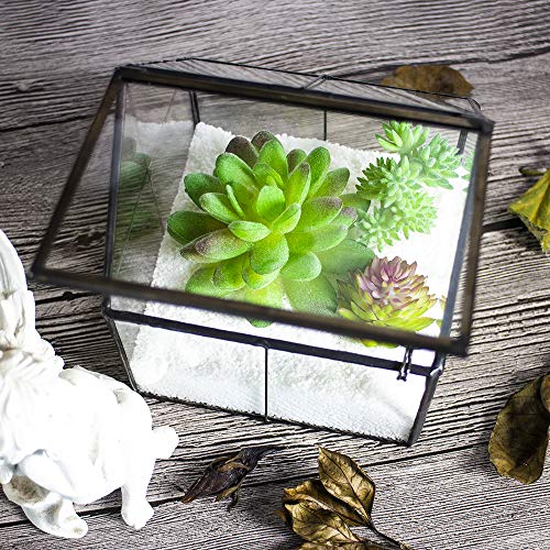 Ferrisland Glass Plant Terrarium Container Wardian Case Indoor Small Succulent Terrarium Planter w/Door for Tabletop Decor DIY - 4.9"x4.3"x4.3" - Image 3