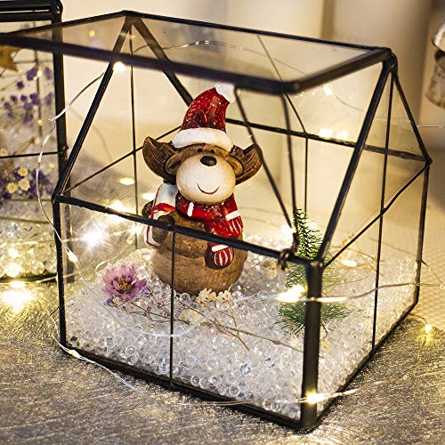 Ferrisland Glass Plant Terrarium Container Wardian Case Indoor Small Succulent Terrarium Planter w/Door for Tabletop Decor DIY - 4.9"x4.3"x4.3" - Image 2