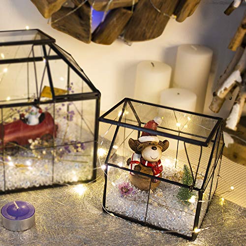 Ferrisland Glass Plant Terrarium Container Wardian Case Indoor Small Succulent Terrarium Planter w/Door for Tabletop Decor DIY - 4.9"x4.3"x4.3" - Image 5
