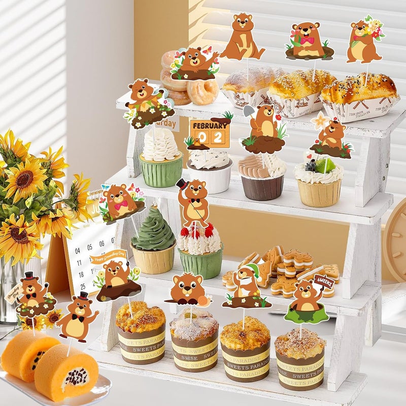 Konsait 25 PCS Groundhog Cupcake Toppers Groundhog Day Decorations Happy Groundhog Day Party Cake Decor Animal Themed Cake Topper Spring Party Supplies - Image 4