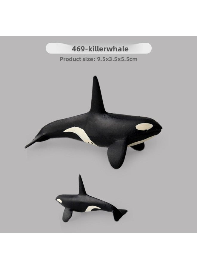 Factory Direct Simulation Solid Great White Shark Blue Whale Killer Shark Marine Animal Model Whale Toy Ornaments 