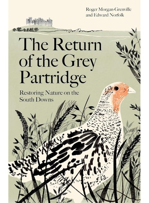 The Return of the Grey Partridge: Restoring Nature on the South Downs
