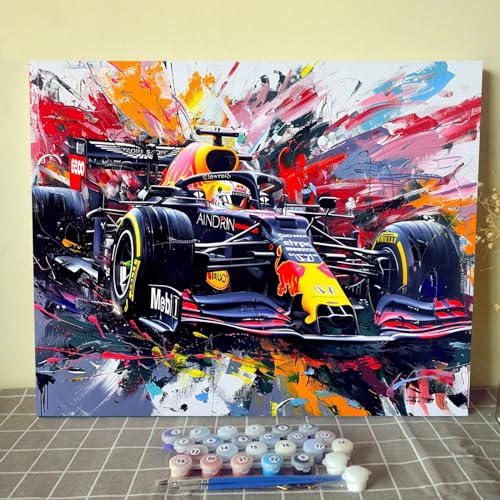 Aihonmin Racing Car Paint by Numbers,Car Lovers Paint by Numbers for Adults Beginner,Paint by Number Kits DIY Graffiti Street Oil Painting Acrylic Set Gift Home Decor Without Framed 16''W x 20''H - Image 1