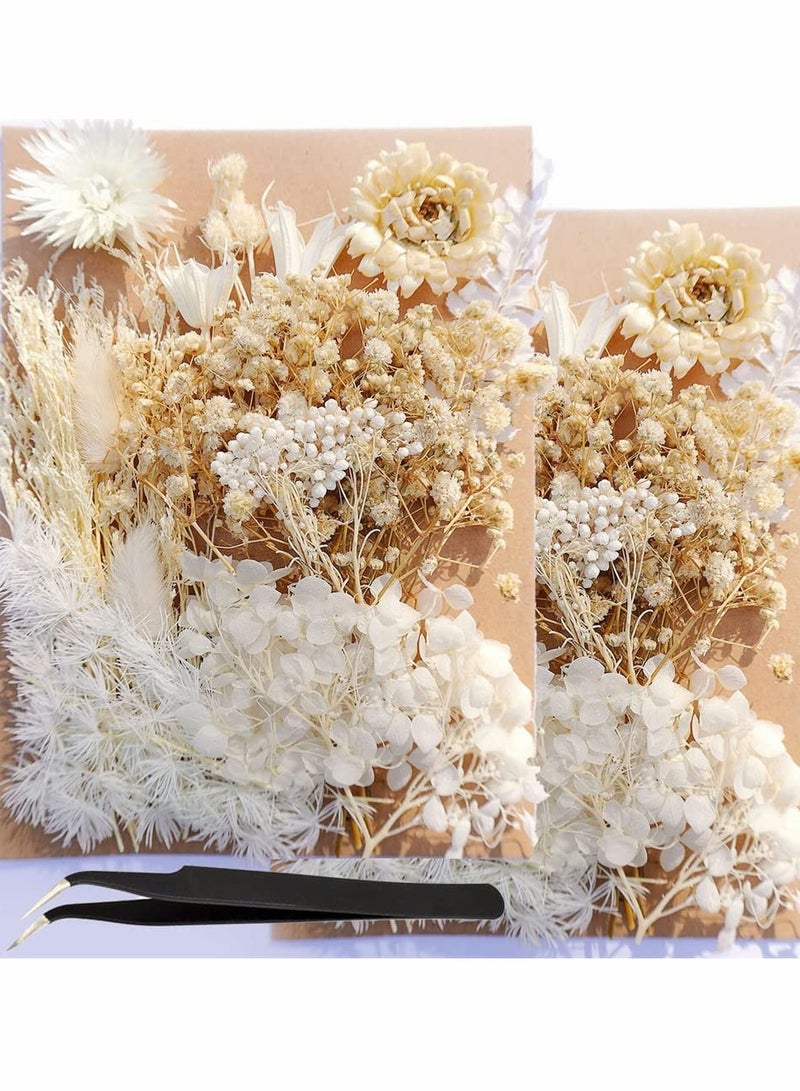 Excefore 2 Pack White Dried Flowers for Resin Jewelry Molds, Real Pressed Dry Flower Leaves with Tweezers, for DIY Crafts Nail Art Candle Soap Making Phone Case Jewelry Pendant Floral Decors - Image 1